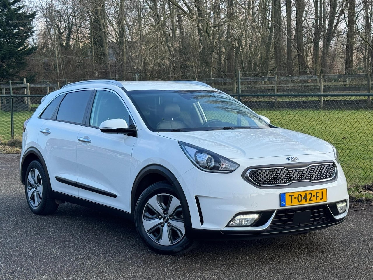 Kia Niro - 1.6 GDi Hybrid DynamicLine /Navi/Camera/Carplay/Stoelverwarming/ - AutoWereld.nl