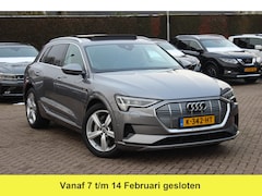Audi e-tron - 50 quattro Business edition Plus 71 kWh / Panoramadak / Camera / Luchtvering / Intr.voorve
