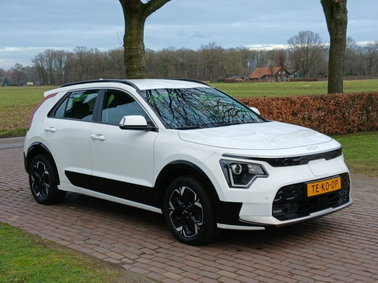 Kia Niro EV - Edition 68kWh 460km range model 2023 7jr. garantie - AutoWereld.nl