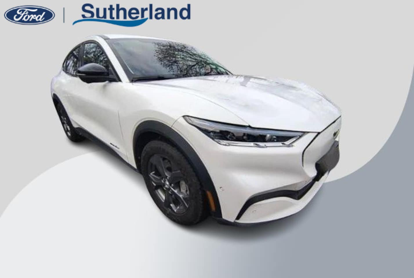 Ford Mustang Mach-E - RWD 75 kWh 269pk | Technology Pack + | Adaptieve cruise | - AutoWereld.nl