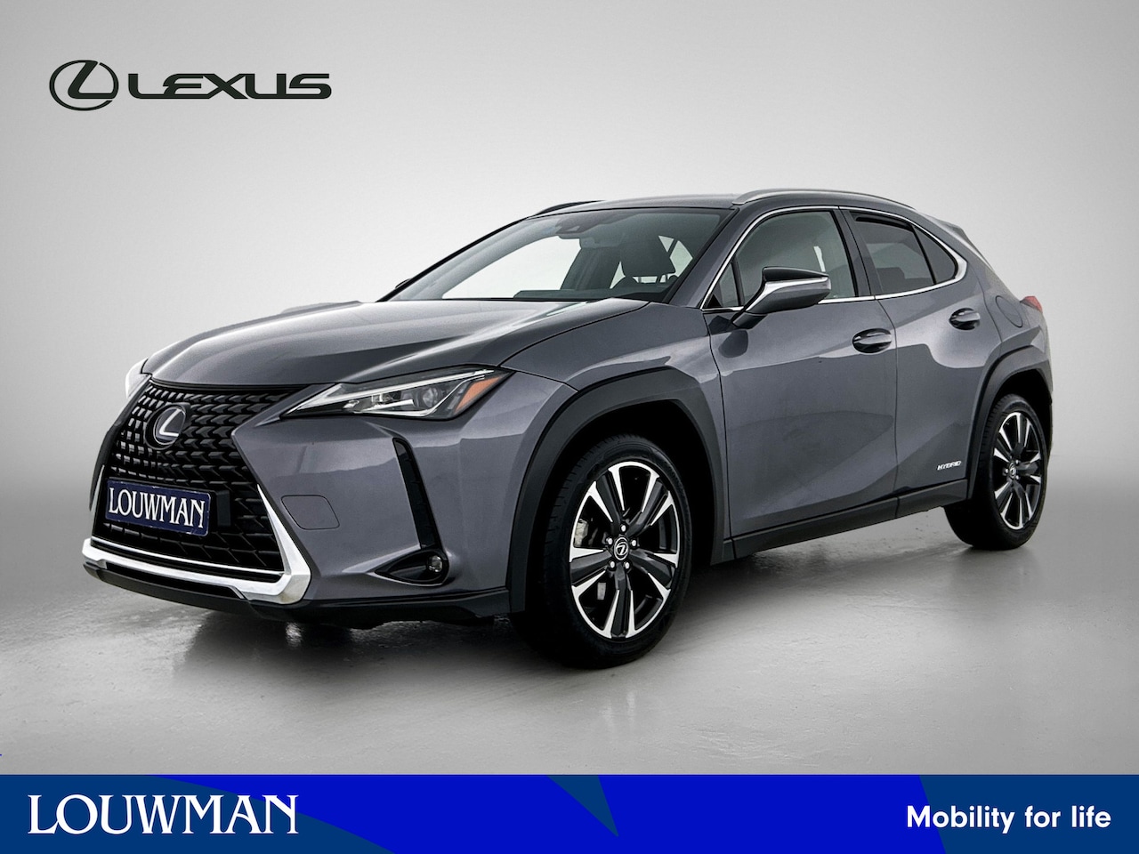 Lexus UX - 250h Business Line | Achteruitrij camera | Navigatie | LM velgen | Adaptive cruise control - AutoWereld.nl