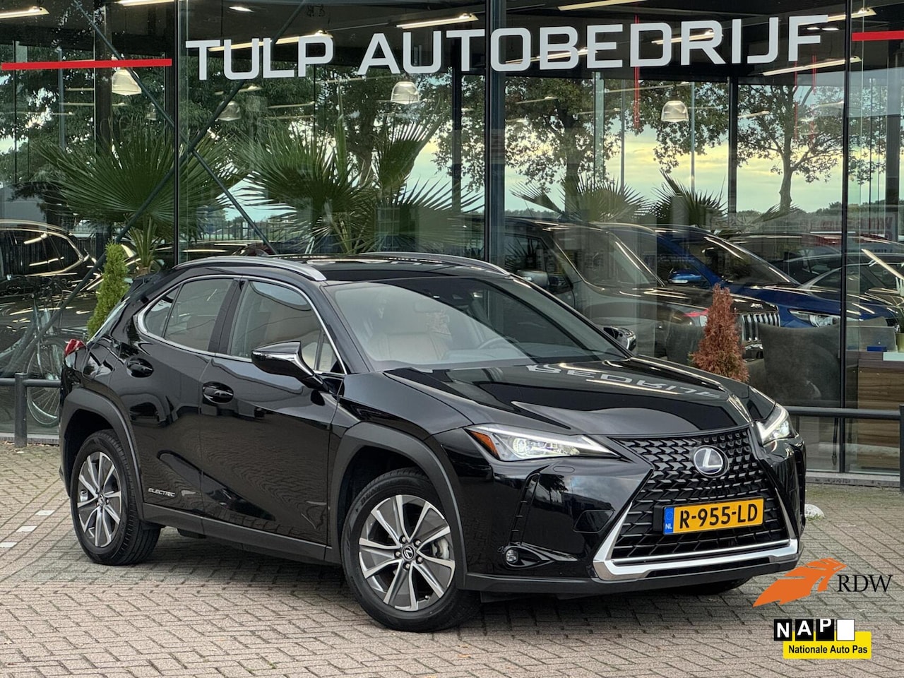 Lexus UX - 300e Business 54 kWh 2022 Leder NAvi 1e eigenaar - AutoWereld.nl