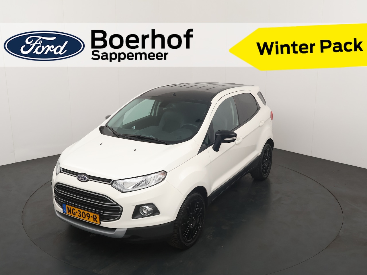 Ford EcoSport - 125pk EcoBoost Titanium S | Winter pack | Cruise | Navi | Keyless | PDC achter | - AutoWereld.nl