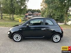 Fiat 500 - 0.9 TwinAir Turbo Young Navi Cruise Pdc App Nap