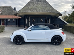 Volkswagen Beetle Cabriolet - 1.2 TSI Design BlueMotion Cup 18 Lm Clima Cruise Pdc Stoelverwarming