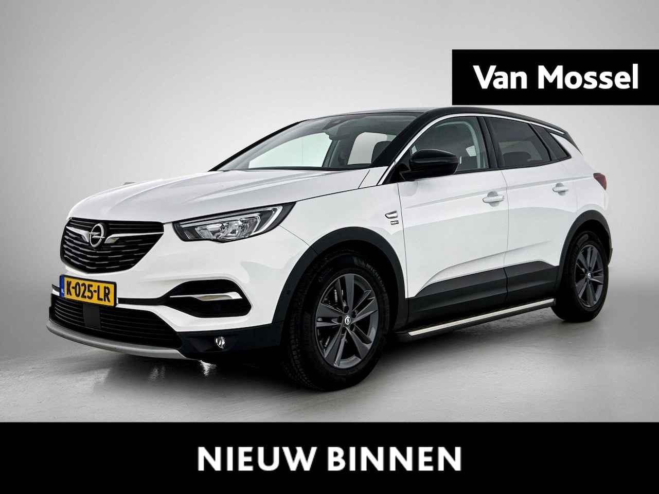 Opel Grandland X - 1.2 Turbo Edition 2020 | Panodak | LMV | Camera | Apple Carplay/Android Auto | Cruise - AutoWereld.nl