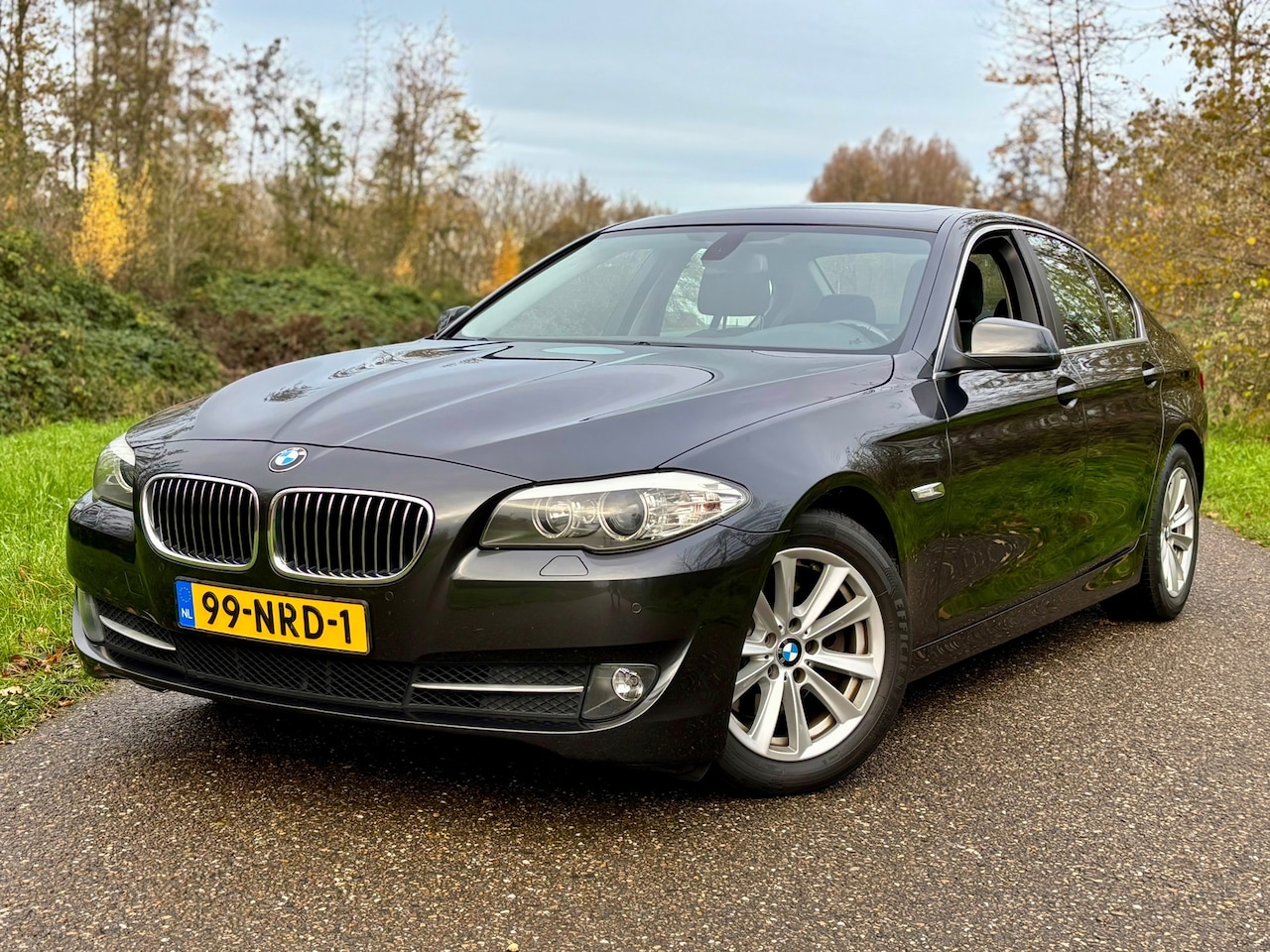 BMW 5-serie - 523i Executive Aut/Navi/Schuifdak/Pdc - AutoWereld.nl