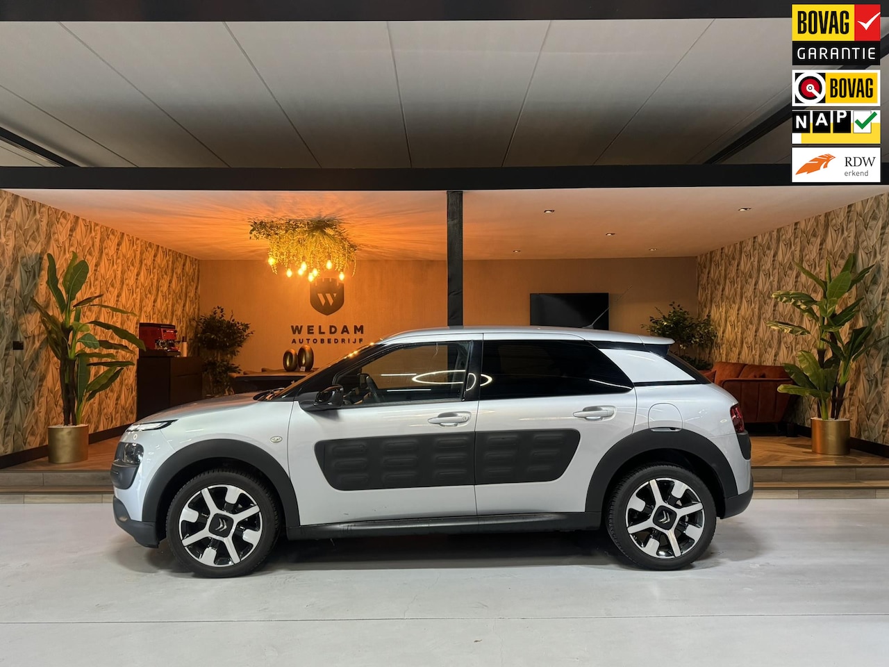 Citroën C4 Cactus - 1.2 PureTech Shine NAP Garantie Trekhaak Cruise Navi Led Clima Rijklaar - AutoWereld.nl