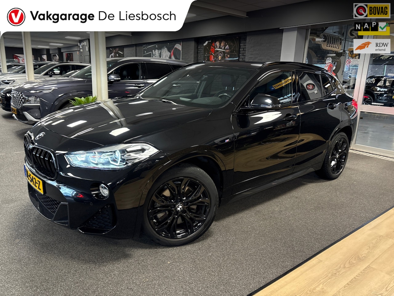 BMW X2 - SDrive20i High Executive/M-pakket/leer/navi/camera/head up/stoelverw - AutoWereld.nl