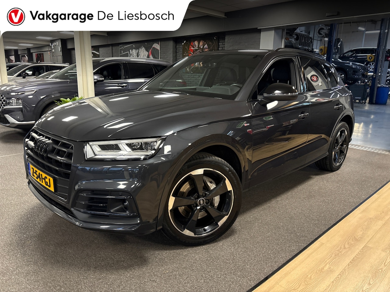 Audi Q5 - 50 TFSI e quattro S edition/S-line/navi/camera/trekhaak/elc stoelen - AutoWereld.nl