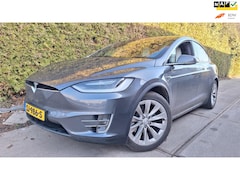 Tesla Model X - 100D 6p