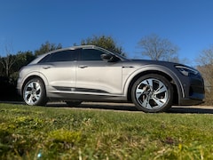Audi e-tron - 50 quattro Business edition Plus Black Edition|Pano|Leder|Trekh
