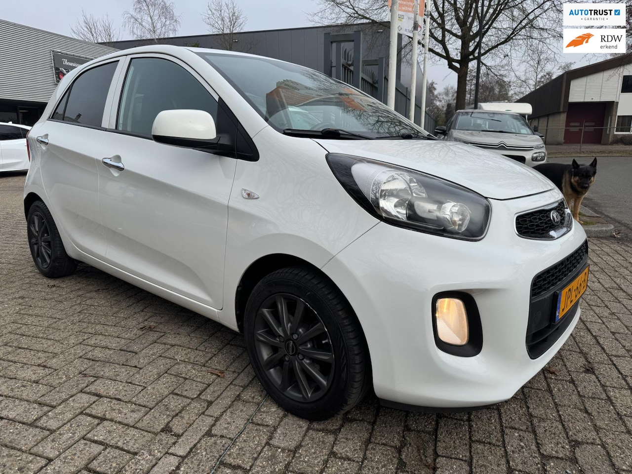 Kia Picanto - 1.2 CVVT DynamicLine navigatie, camera, stoel verwarming, cruise controle, multi-stuur, nw - AutoWereld.nl