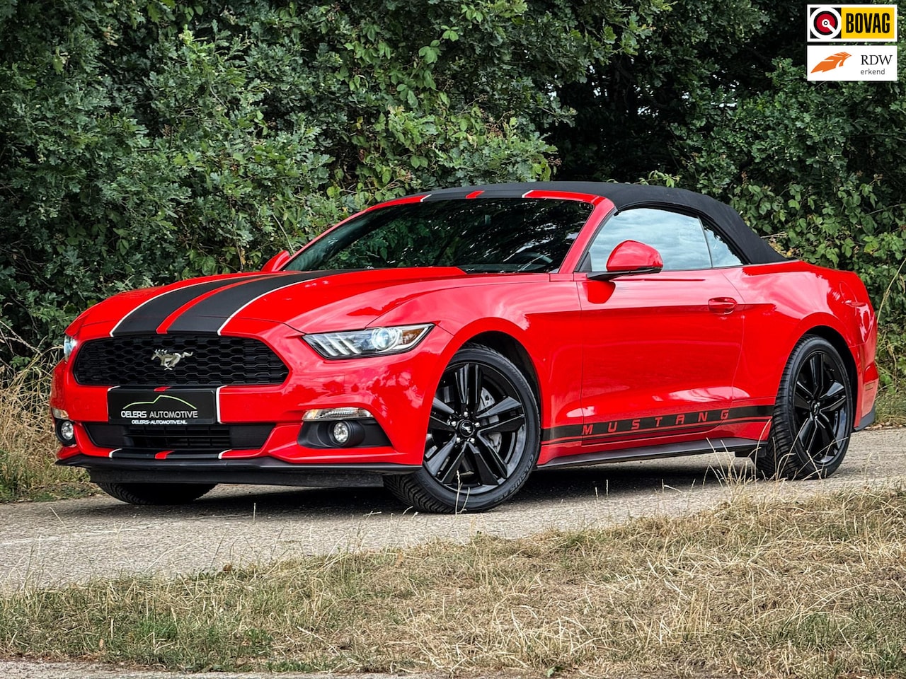 Ford Mustang Convertible - 2.3 EcoBoost | 1e eig. | Europees | Clima | Cruise | Navi | Stoelventilatie | Leder | PDC - AutoWereld.nl