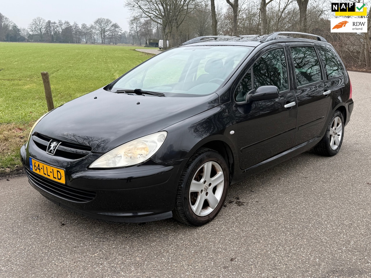 Peugeot 307 SW - 2.0 16V | AIRCO | DAKRAILS | LM VELGEN | APK VERLOPEN | - AutoWereld.nl