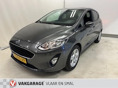 Ford Fiesta - 1.0 EcoBoost Titanium- Bose uitvoering-Carplay-cruise controle-parkeerhulp