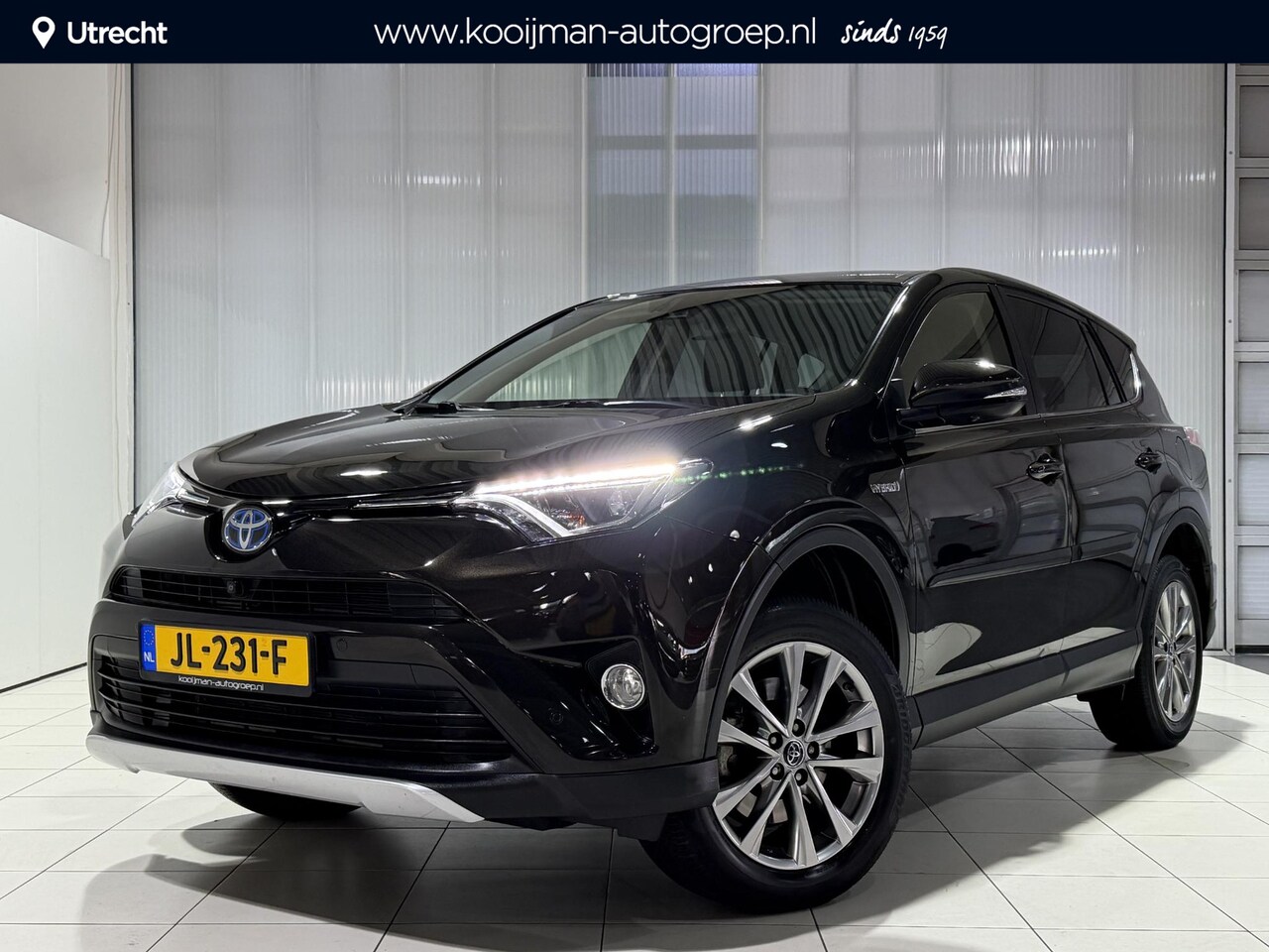 Toyota RAV4 - 2.5 Hybrid AWD Executive Business | Trekhaak met afn kogel | Bearlock | Dealer onderhouden - AutoWereld.nl