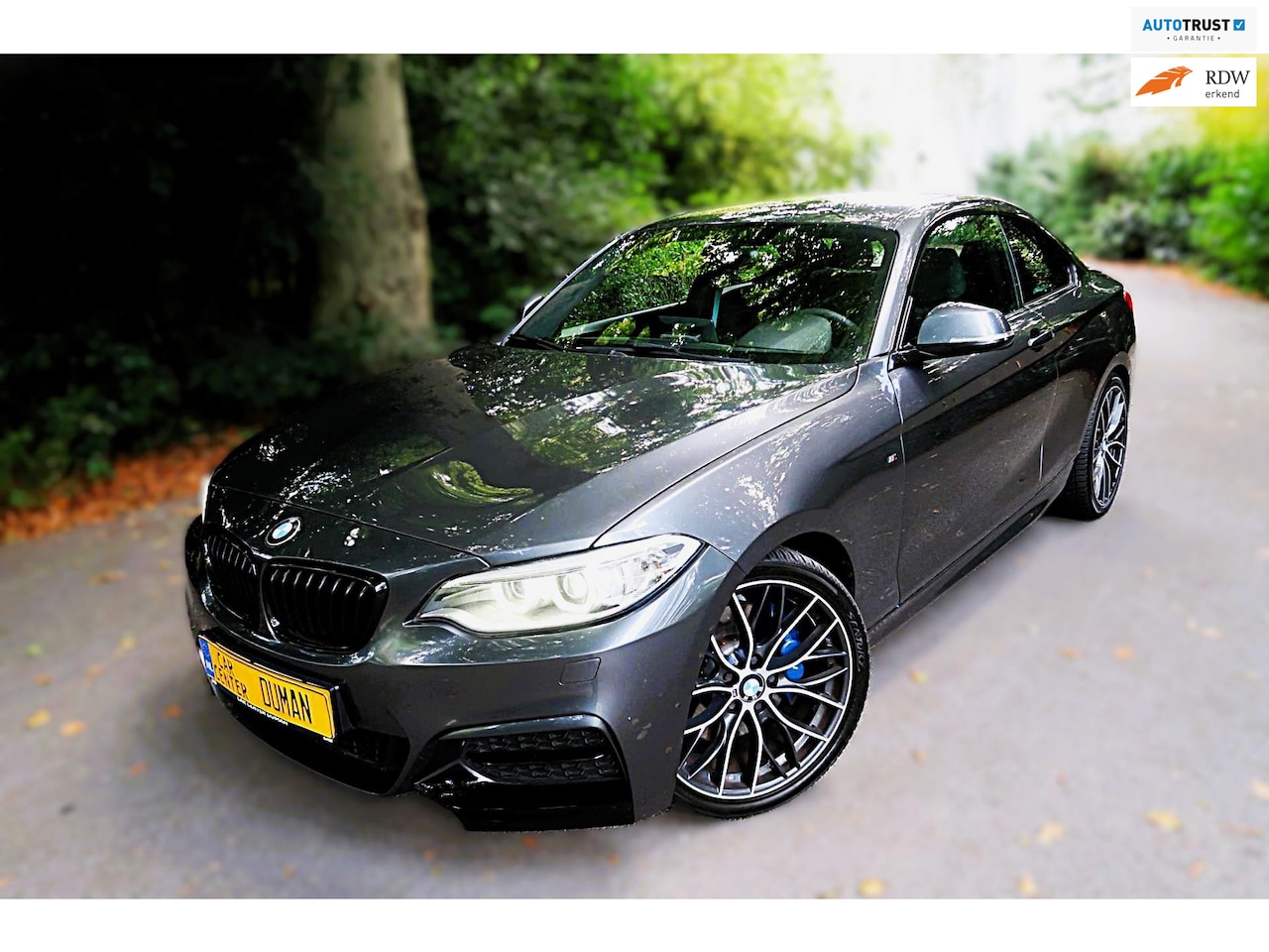 BMW 2-serie Coupé - M235i Executive 380PK Harman/Kardon Navi Andriod - AutoWereld.nl