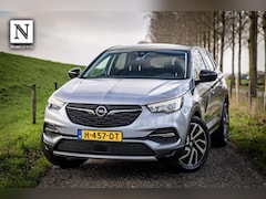Opel Grandland X - 1.6 Turbo Business Executive | Nap | Leder