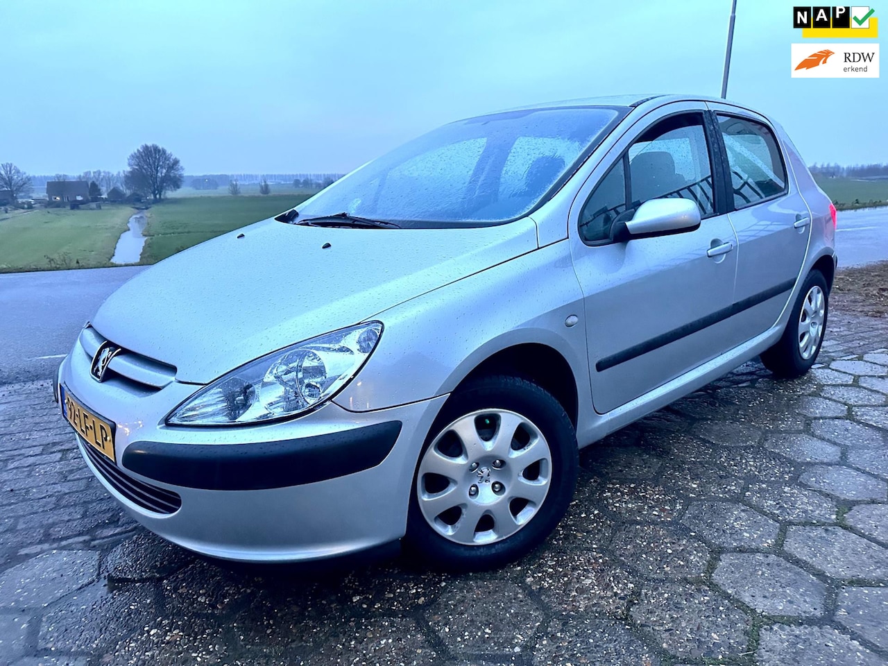 Peugeot 307 - 1.6-16V XS NAP 5D AIRCO NIEUWE APK SCHERM - AutoWereld.nl