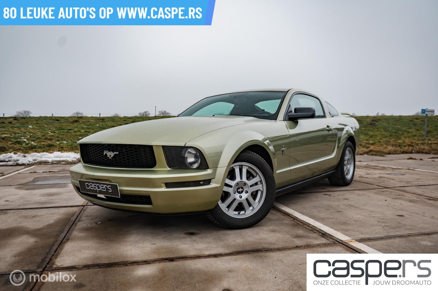 Ford Mustang - USA 4.0 V6 | Handgeschakeld | LSD - AutoWereld.nl