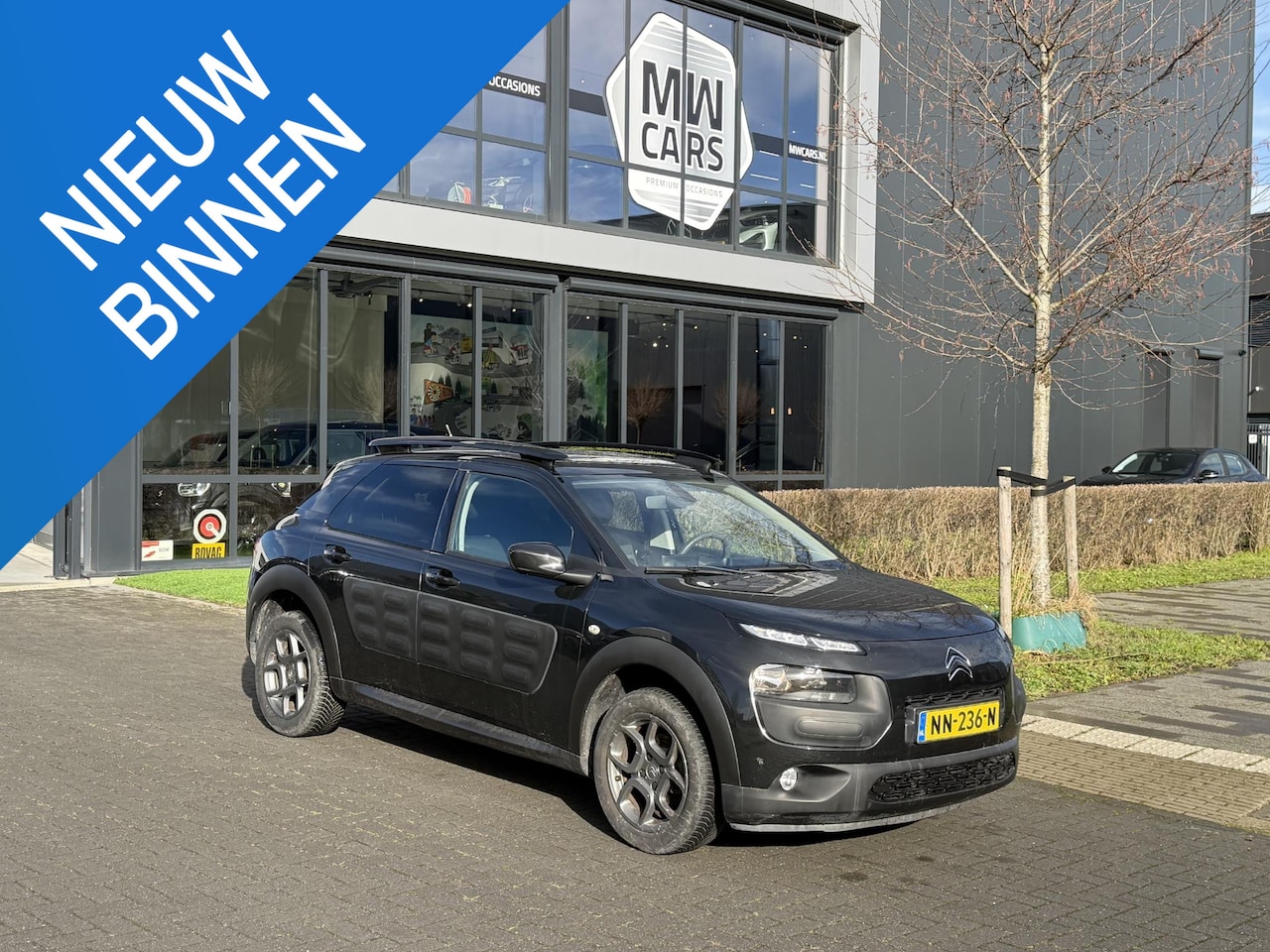 Citroën C4 Cactus - 1.2 PureTech Business Plus 1.2 PureTech Business Plus - AutoWereld.nl