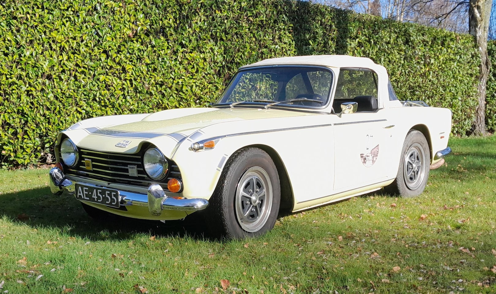 Triumph TR5 - Triumph TR250 i.p.v. TR5 - AutoWereld.nl