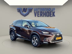 Lexus NX - 300h AWD Executive Line + President Pack - NL Auto - Panodak