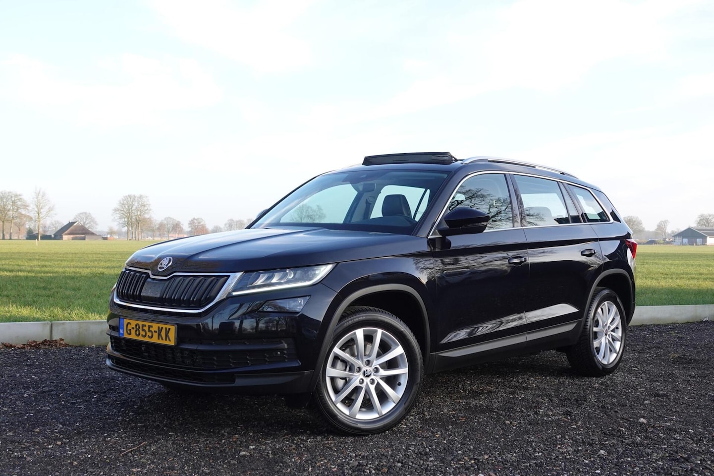 Skoda Kodiaq - 1.5 TSI 7p. PANO CAMERA TREKHAAK CARPLAY ACC - AutoWereld.nl