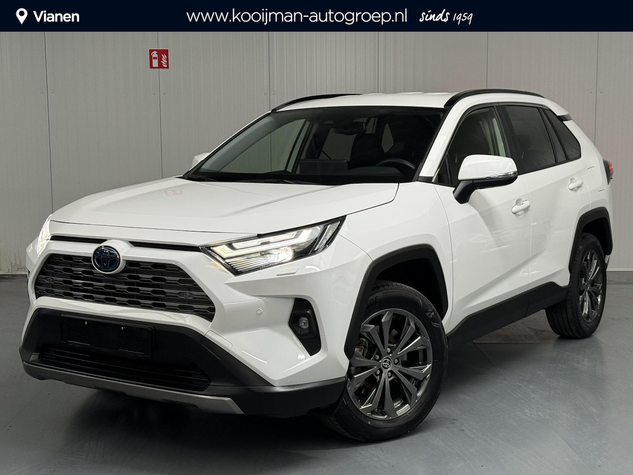 Toyota RAV4 - 2.5 Hybrid AWD Executive 2.5 Hybrid AWD Executive - AutoWereld.nl