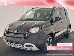 Fiat Panda - 1.0 70pk Pandina
