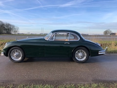 Jaguar XK - XK150 FHC