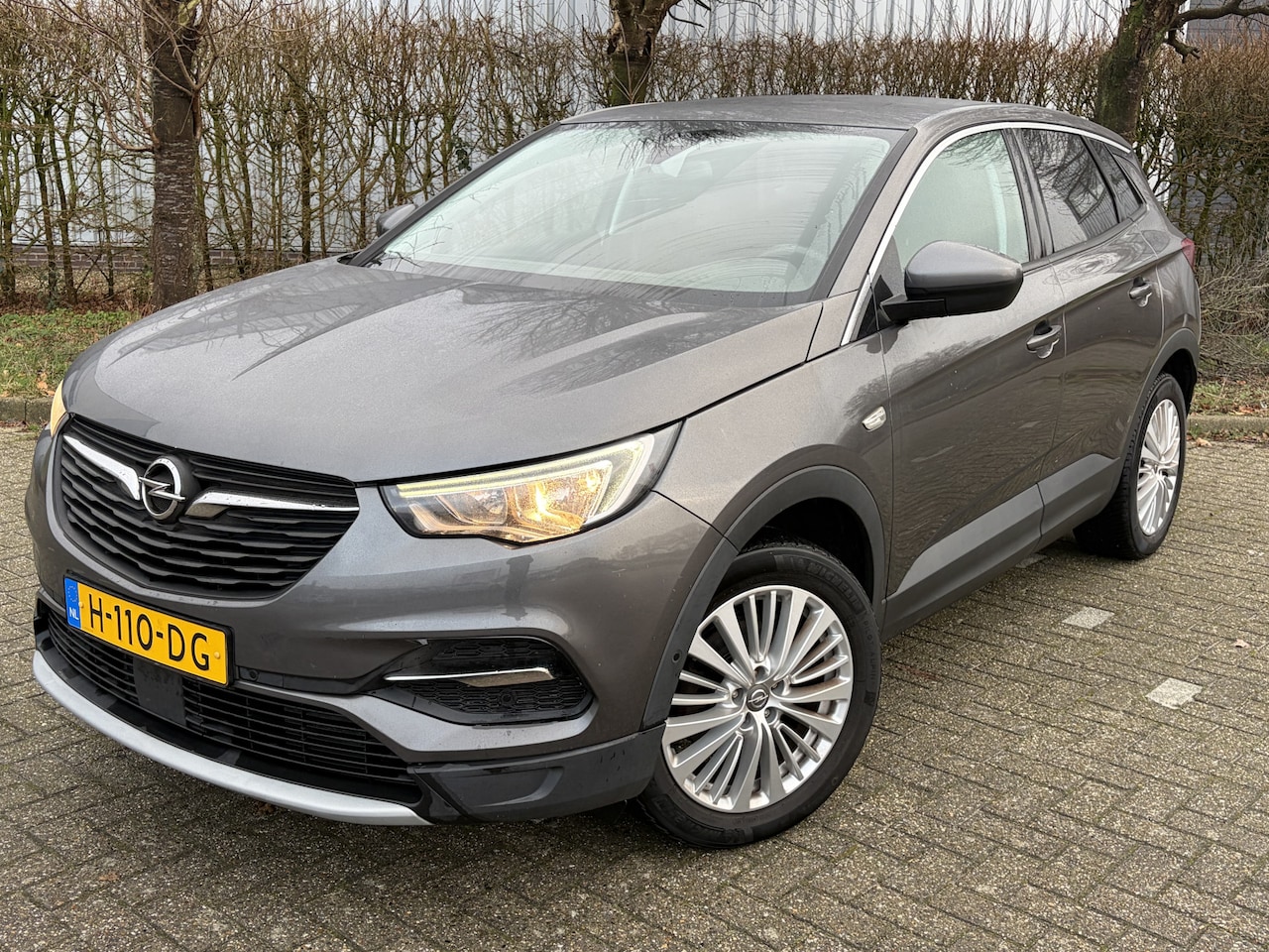 Opel Grandland X - BJR 2020 1.2 131 PKTurbo Business Executive AUTOMAAT | TREKHAAK | CLIMA  | CRUISE |  CARPL - AutoWereld.nl