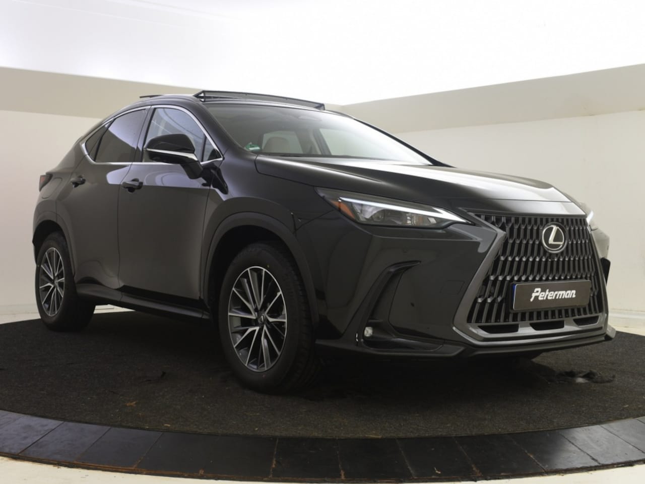 Lexus NX - 450h+ Plug-In Hybrid AWD Executive Line | Elektr pano | 360 Grad - AutoWereld.nl