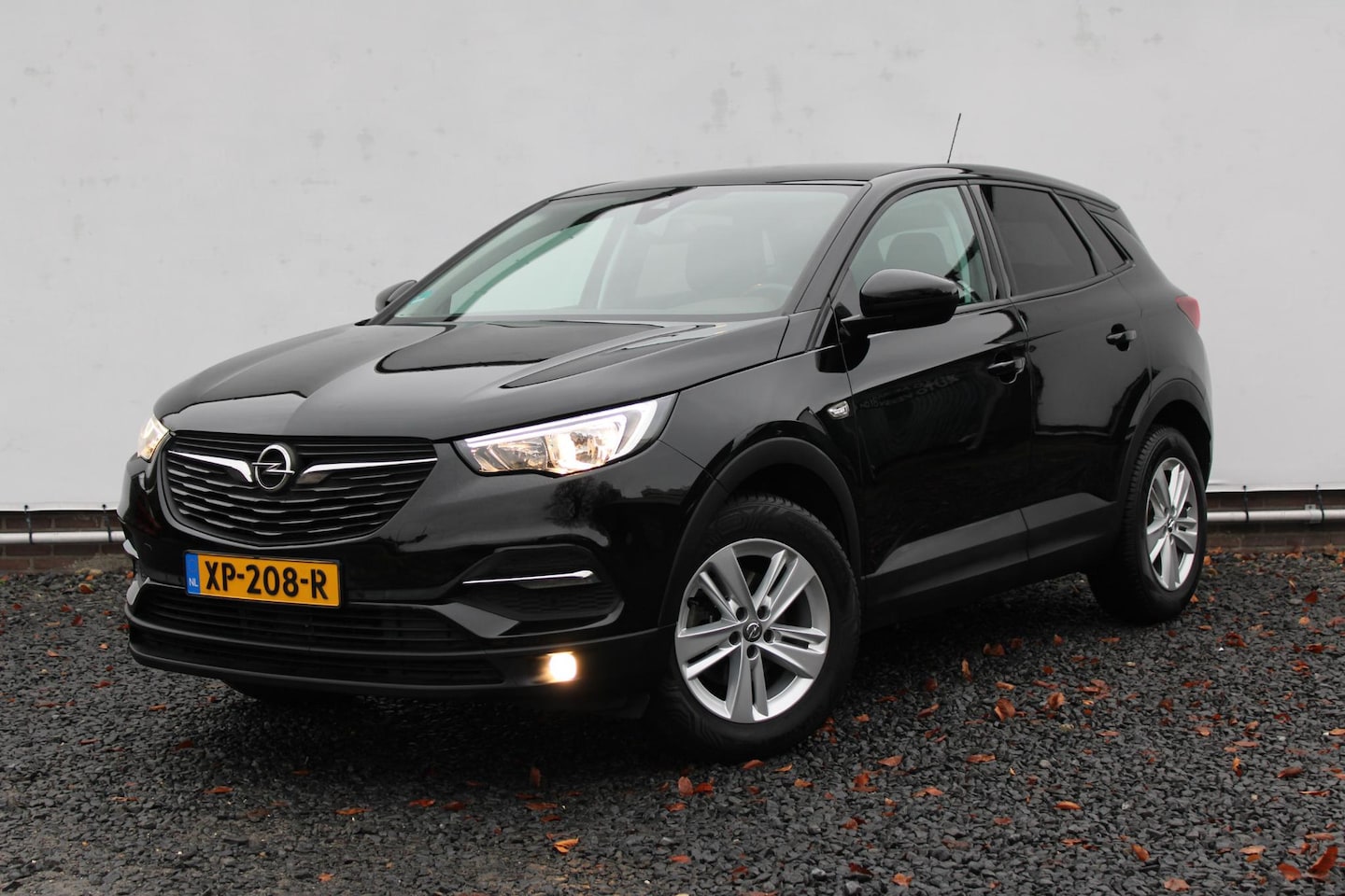 Opel Grandland X - 1.2 Turbo Business Executive Trekhaak, Stuurverw. en Dealer onderhouden! - AutoWereld.nl