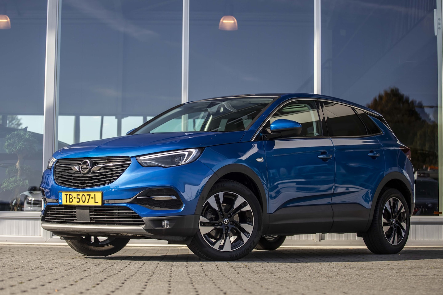 Opel Grandland X - 1.2 Turbo Business Executive | Pano | Denon | LED - AutoWereld.nl