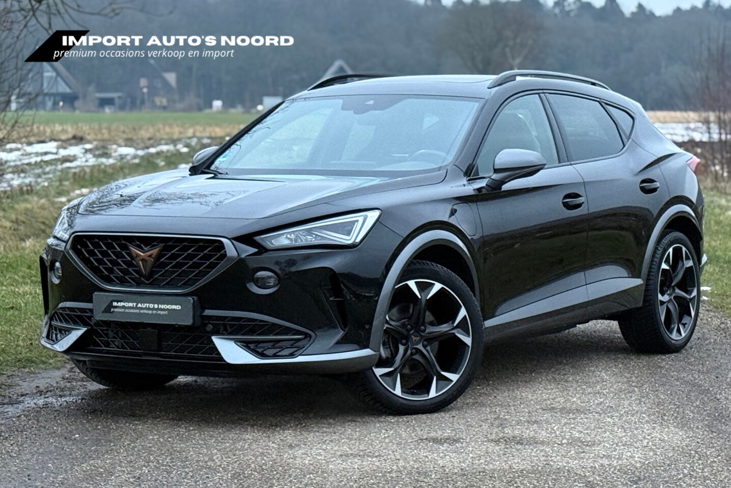 CUPRA Formentor - 1.4 e-Hybrid Performance Panoramadak Leer Memory Camera - AutoWereld.nl