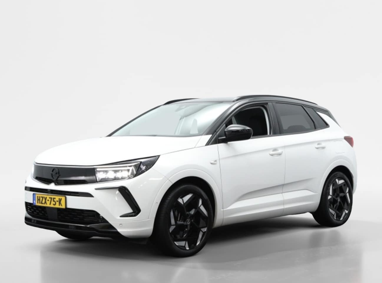Opel Grandland - 1.6 T Hybrid 4x4 GSe 300PK | Navigatie | Camera | Cruise control - AutoWereld.nl