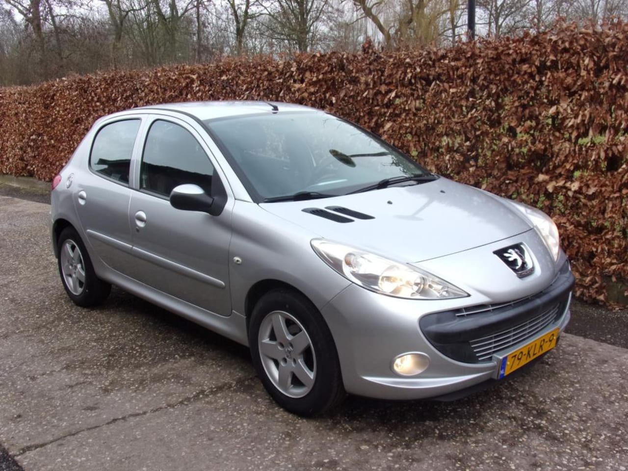 Peugeot 206 - 1.1 XS NWE APK NWE DISTRIBUTIE - AutoWereld.nl
