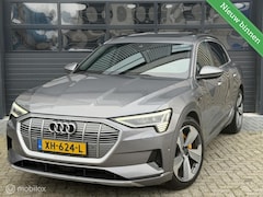 Audi e-tron - e-tron 55 quattro advanced | Pano | Vol | 95 kWh