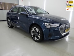 Audi e-tron - 55 quattro Business edition 95 kWh / Camera / Trekhaak / Navigatie / Memory / Luchtvering