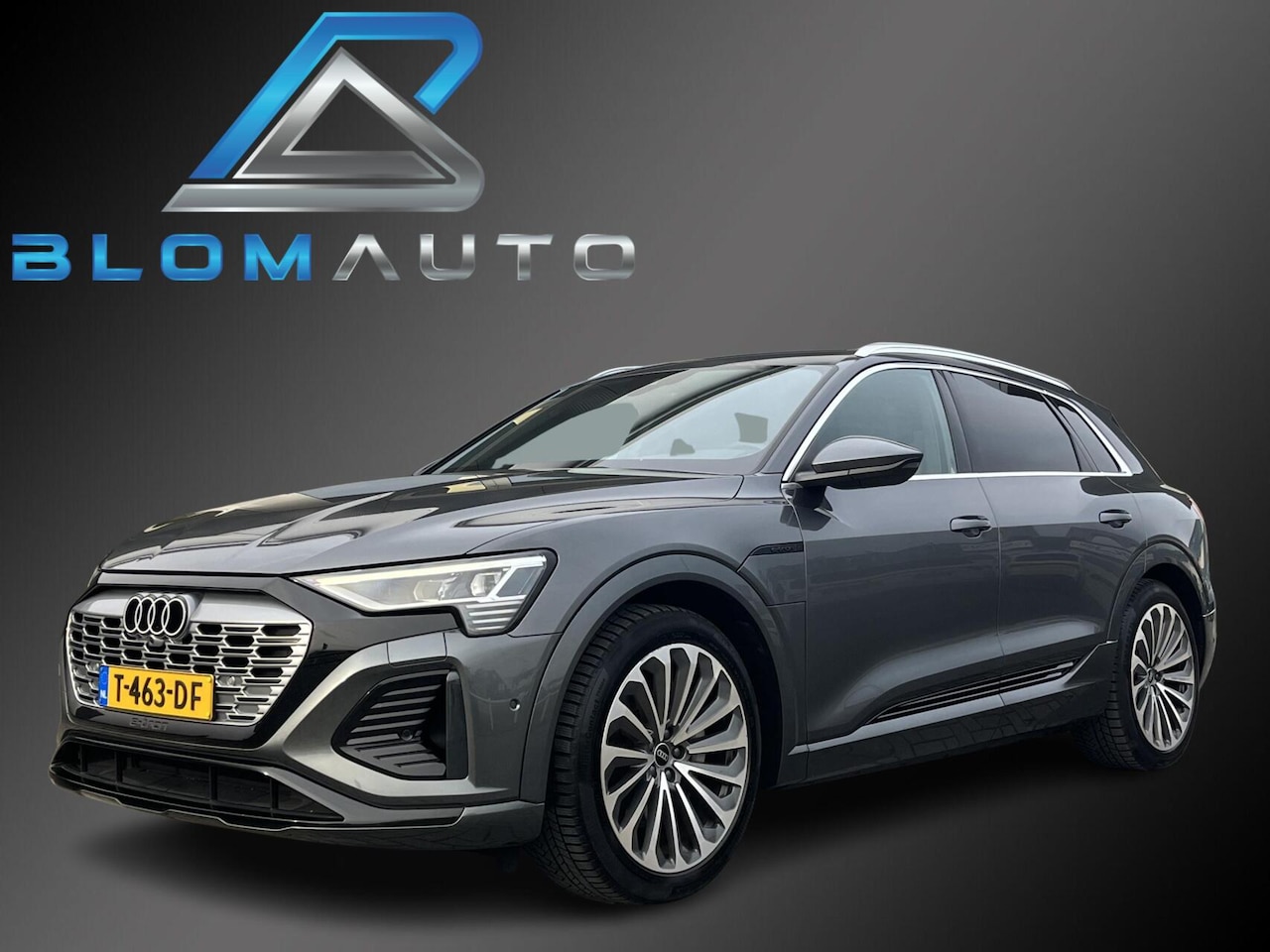 Audi Q8 e-tron - 55 QUATTRO S-LINE 115 kWh 408PK ACC+MEMORY - AutoWereld.nl