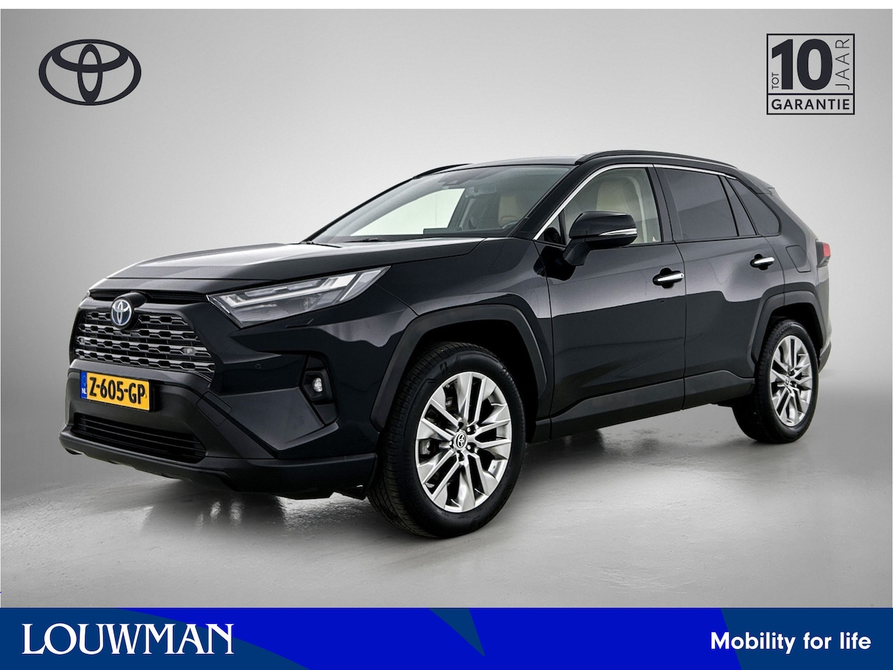 Toyota RAV4 - 2.5 Hybrid AWD Executive | Navigatie | Trekhaak | - AutoWereld.nl