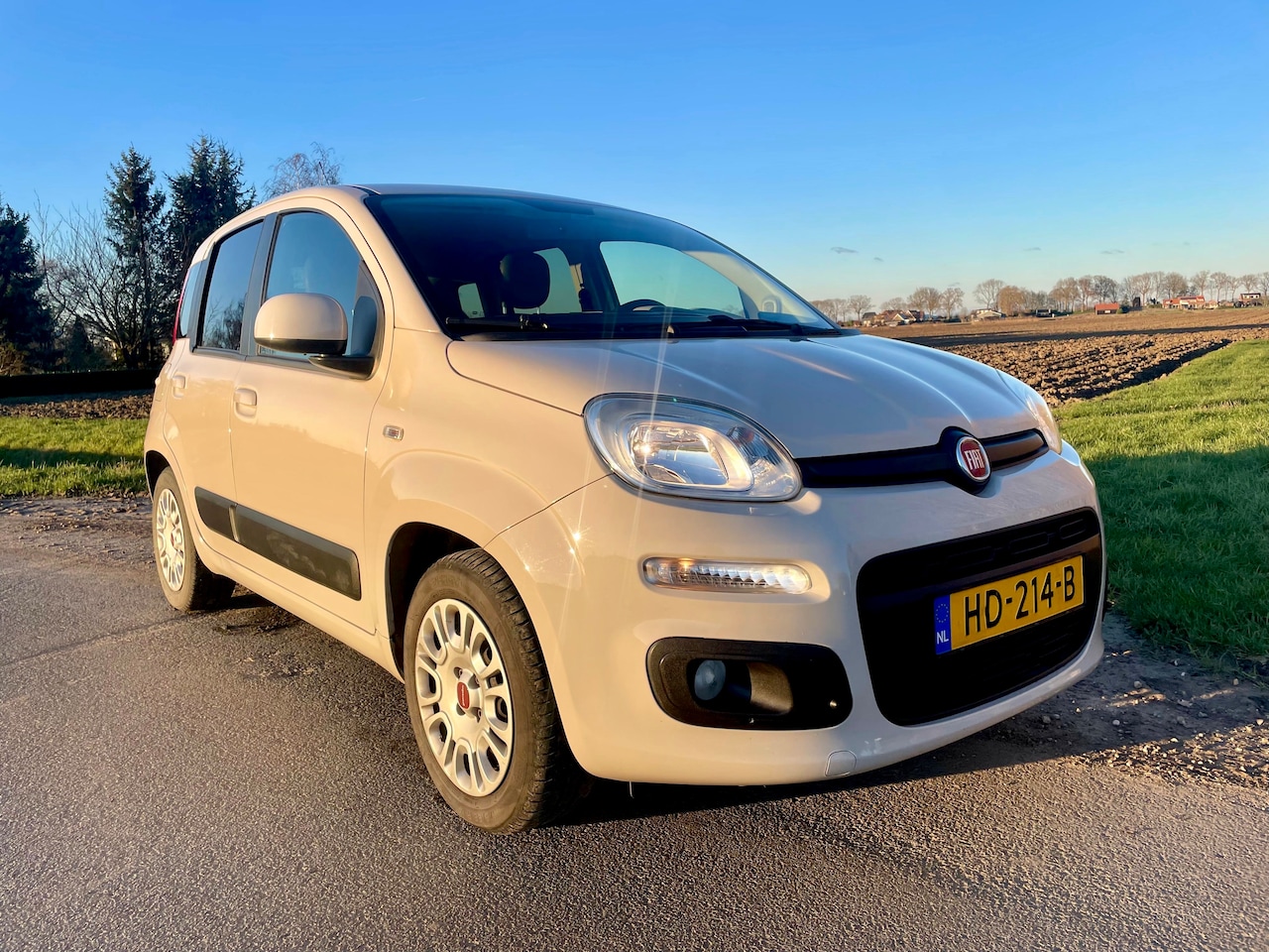 Fiat Panda - 0.9 TwinAir Lounge Keurige Fiat Panda vol opties - AutoWereld.nl