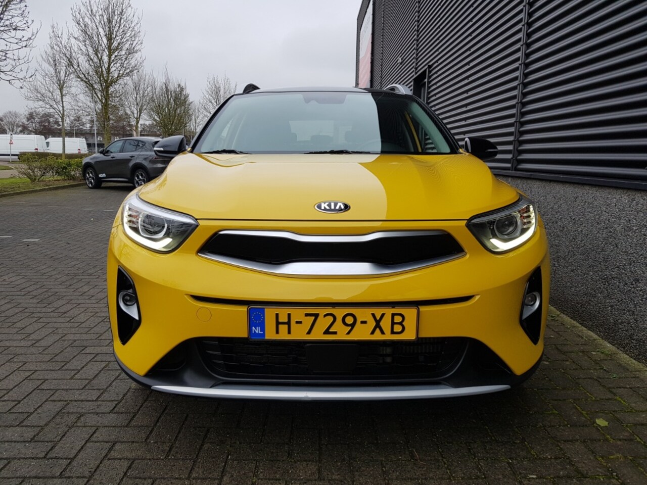 Kia Stonic - DynamicPlusLine 100PK