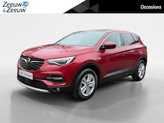 Opel Grandland X - 1.2 Turbo Business Executive | Trekhaak | Achteruitrijcamera | Dodehoek detectie | Elektrs