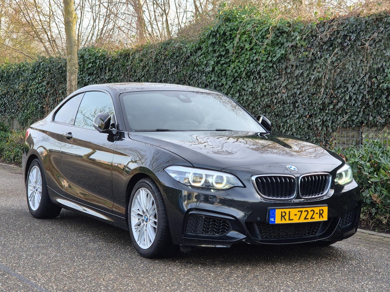 BMW 2-serie Coupé - M-Sport Apple Carplay Line Assist 2e eigenaar High Executive - AutoWereld.nl