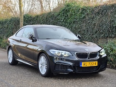 BMW 2-serie Coupé - M-Sport Apple Carplay Line Assist 2e eigenaar High Executive