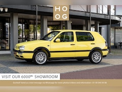 Volkswagen Golf - 2.0 GTI Colour Concept