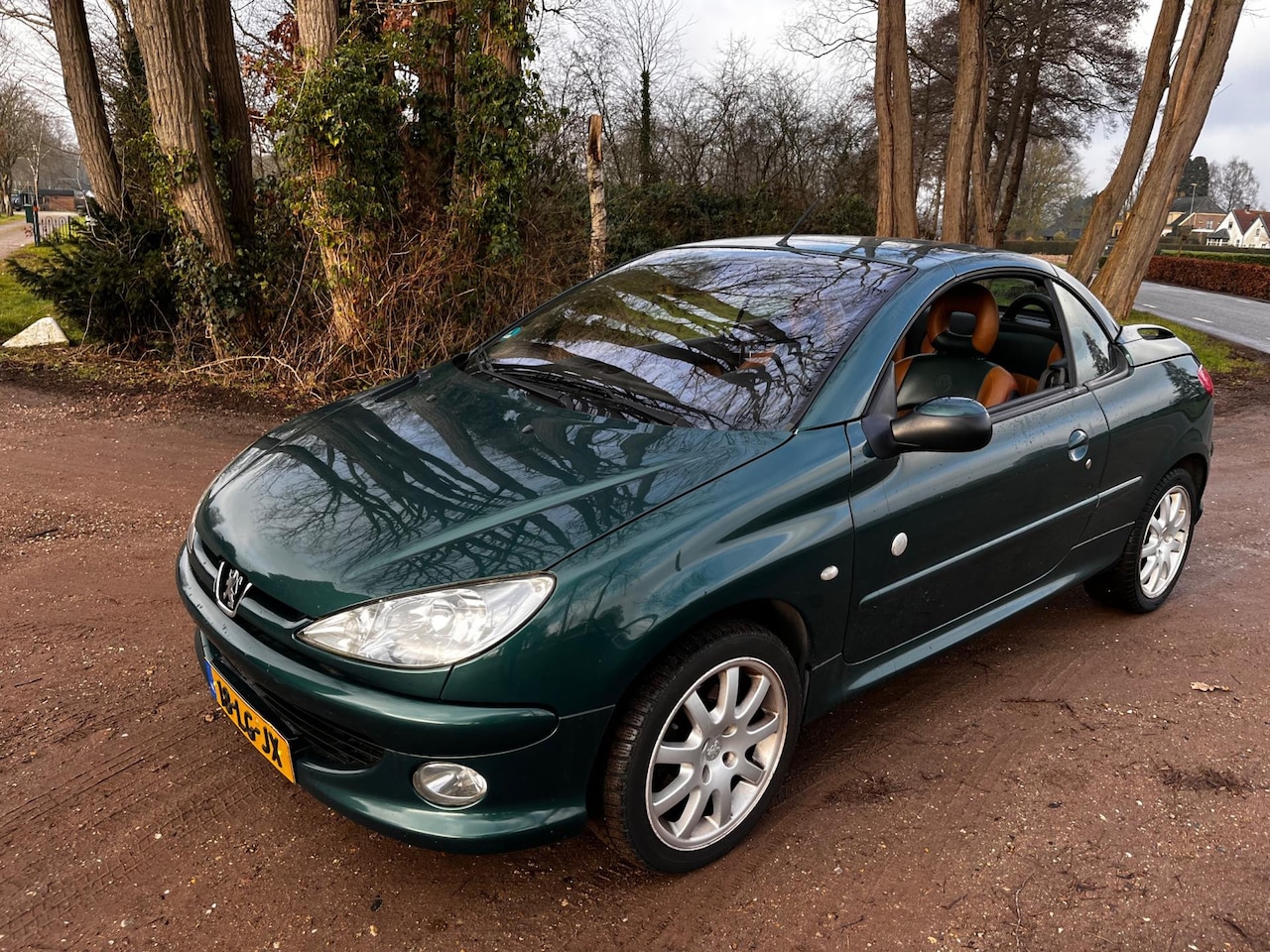 Peugeot 206 CC - 2.0-16V Roland Garros 2.0-16V Roland Garros - AutoWereld.nl